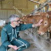 cowgestion-expert-financement-agricole
