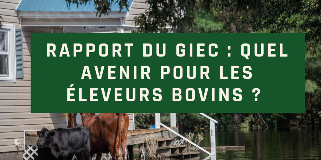 cowgestion rapport du giec